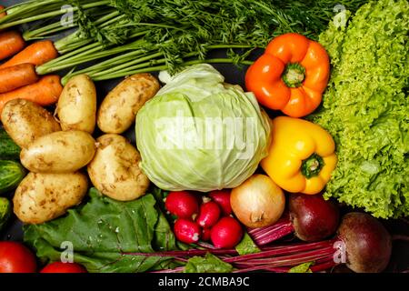 Top view of fresh assorted vegetables on dark black background: cabbage, young carrots and beetroots, potatoes, peppers and greenery. Stock Photo