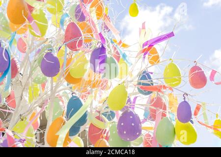 colorfull easter egg tree. brights eggs hanging from branches. Stock Photo