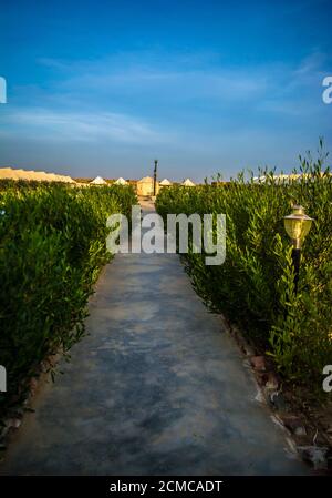 desert camping at the Sam Sand Dunes are on the outskirts of Jaisalmer rajasthan Stock Photo