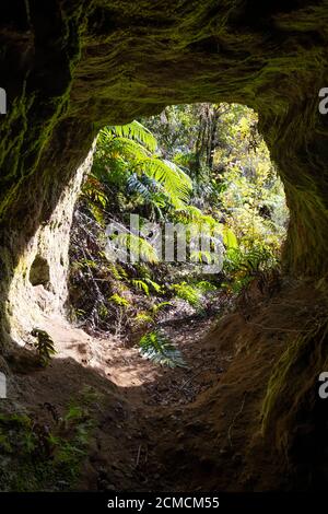 Tunnel mouth at Mitchells Gully Gold Mine, Charleston, near Westport, Buller, South Island, New Zealand