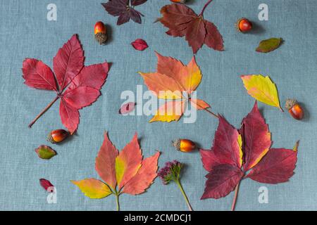 Autumn background from leaves on a background of linen fabric. Autumn still life. Stock Photo