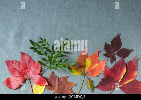 Autumn background from leaves on a background of linen fabric. Autumn still life. Stock Photo