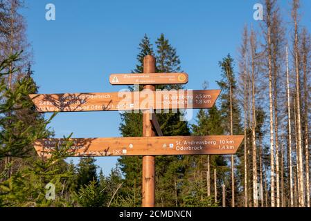 12 September 2020, Lower Saxony, Oderbrück: There is a signpost at the Oderteich in the Harz National Park. The Harz is one of the most important tourist regions in Germany. Photo: Stephan Schulz/dpa-Zentralbild/ZB Stock Photo