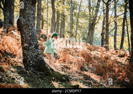 Little girl in an autumn forest among ferns Stock Photo