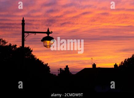 Street light. Stock Photo