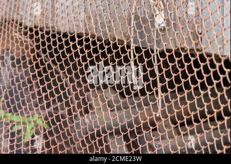 Old metal mesh covered in rust and an old wooden wall at the back, close-up, selective focus Stock Photo