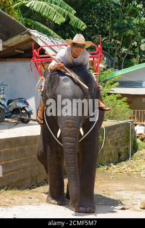 PHUKET, THAIALAND - MACH 28, 2016: man riding on elephant, Phuket Island in Thailand Stock Photo