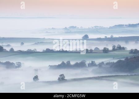 Misty dawn from Pilsdon Pen, Dorset, England, UK Stock Photo