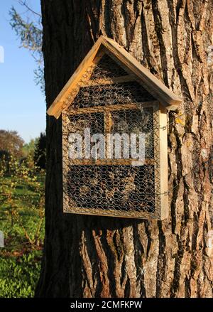 Insect hotel attached on a thick tree trunk Stock Photo