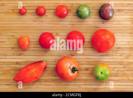 Variety of garden tomatoes seen from above Stock Photo