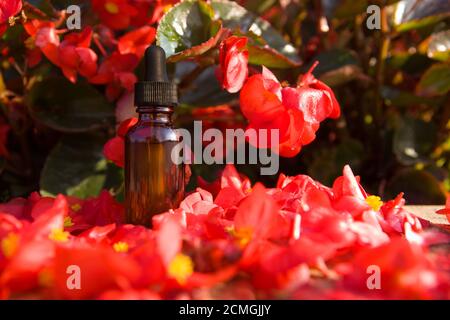 Homeopathy remedies and BACH therapy, medicines concept. Stock Photo