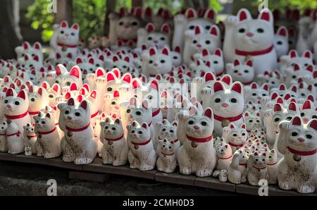 Sunlit view of many Japanese maneki-neko 'beckoning cat' figurines, at Gotokuji Temple in Tokyo Stock Photo