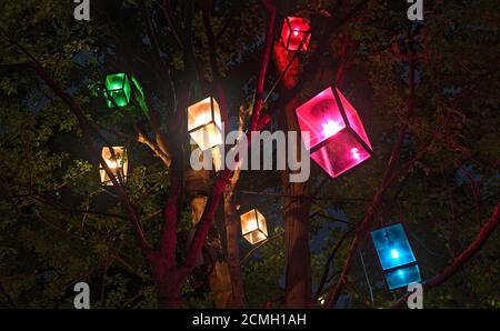 Night view of several lanterns of different colors hanging from a tree in a park Stock Photo