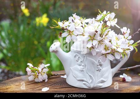 Branches of flowering almonds in a ceramic vase in the sun on a wooden surface Stock Photo