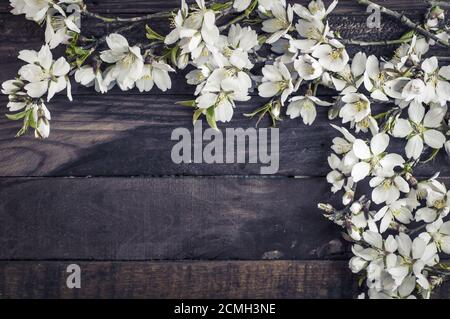 Branches blossoming almonds on a brown wooden surface Stock Photo
