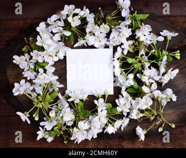 Small clean white sheet of paper Stock Photo