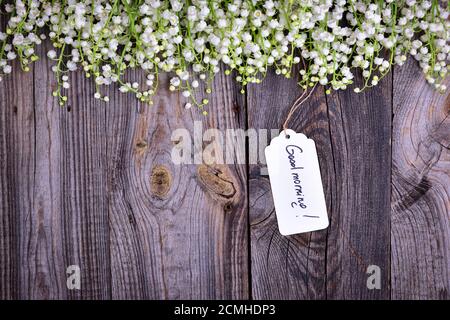 vintage film camera in a leather case on a wooden camera Stock Photo