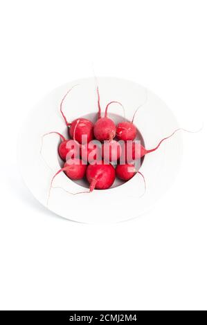 Fresh radishes in a round deep plate on a clean white background. Stock Photo
