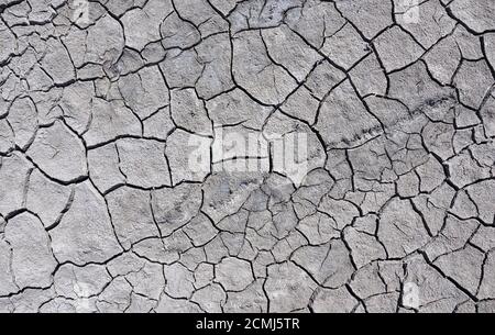 Cracked earth on a summer day, top view Stock Photo