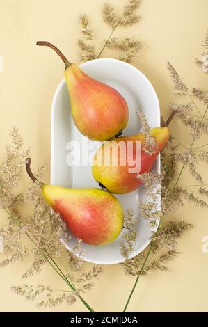 Three ripe pears on a white plate on a light yellow pastel background. Stock Photo