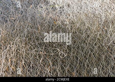 Design of a steel wire mesh fence Stock Photo