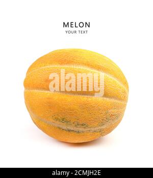 Ripe melon on a white background, side view. Fruit background with space to copy. Stock Photo