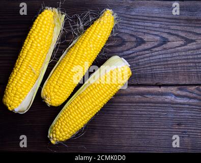Three yellow corn cobs Stock Photo