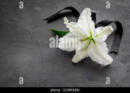 Funeral concept with lily and black ribbon, space for text Stock Photo