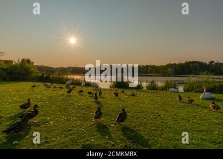 Gråsten or Gravenstein, Flensburg Fjord, Denmark, Northern Europe, Stock Photo