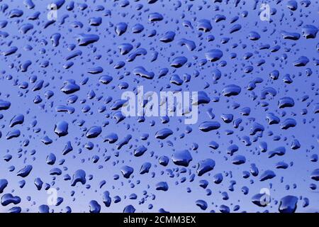 The surface of the washed car. Water droplets stay on its surface. Stock Photo