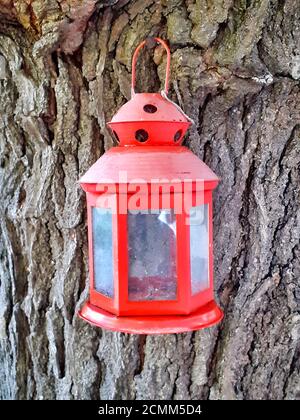 Old retro style lantern hanging on a tree. Stock Photo