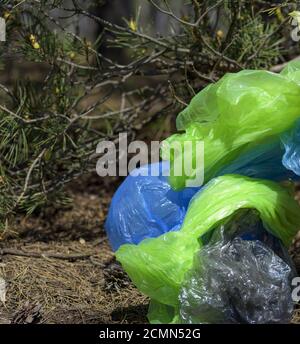 a pile of crumpled transparent empty plastic bags lies under a tree Stock Photo
