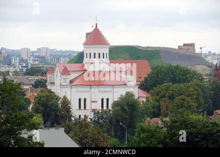 Cathedral of the Theotokos, Vilniaus Dievo Motinos Ėmimo į Dangų katedra, Vilnius, Lithuania, Europe Stock Photo