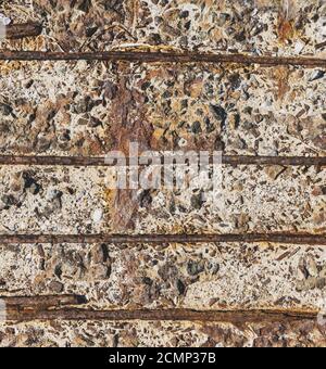 fragment of cement texture with small black granite stones Stock Photo