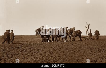 Edwardian horse drawn ploughing match, England Stock Photo