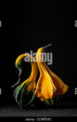 Two decorative pumpkins on a black background. Stock Photo