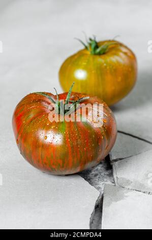 Hereditary tomatoes. Two tomatoes of different colors on a gray concrete table with a crack. Stock Photo