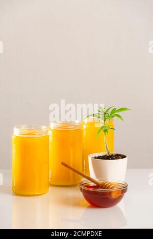 Three jars of CBD honey, with a marijuana plant in a white flowerpot and honey dipper in a bowl with honey on the side. Stock Photo