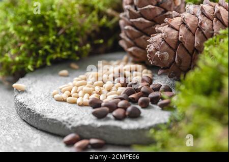 Pine cones, nuts and natural moss on a gray concrete background. Background image. Stock Photo