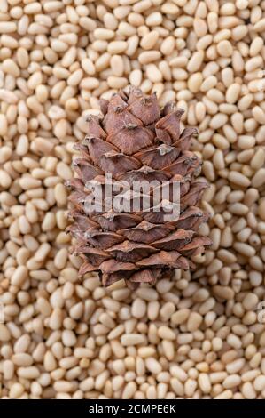 Cone on the background of peeled pine nuts closeup. Stock Photo