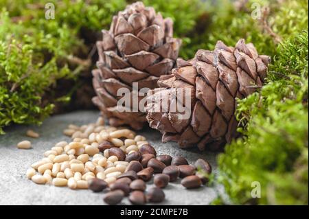 Pine cones, nuts and natural moss on a gray concrete background. Background image. Stock Photo