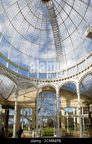 Interior of the Great Conservatory in Syon Park, which was bult in the 1920's by the 3rd Duke of Northumberland.   It is open to the public in the sum Stock Photo