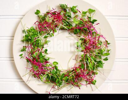 Wreath of Broccoli and Amaranthus Microgreens Stock Photo
