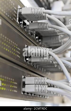 Patch Panel server rack with gray cords in the background Stock Photo