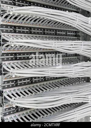 kind of wiring closet patch panels with 6-th category in the background Stock Photo