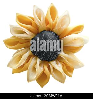black and yellow flower from tissue isolated on a white background Stock Photo