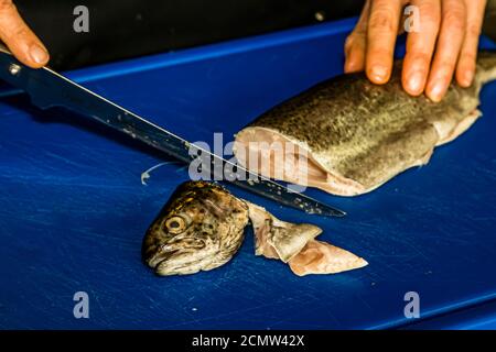 How do you fillet a trout? After removing the fins, the trout's head is cut off