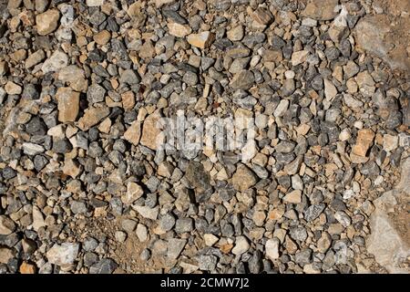 Multi colored pebbles background. Natural stone. Close-up texture of pebbles. Stock Photo