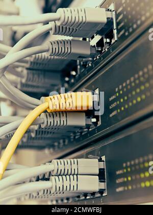 Patch Panel server rack with gray cords in the background Stock Photo