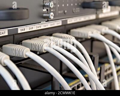 Patch Panel server rack with gray cords Stock Photo